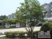 秀枫翠谷大4房+中间楼层+地铁口+明强都在