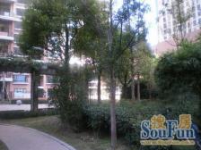 开元坊 2室2厅 南