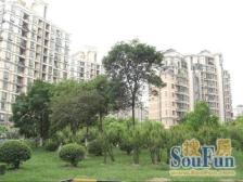 碧云·金桥爱建园·3室·2厅