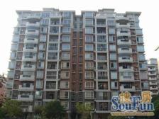 近地铁 中间楼层,电梯房 新上房源