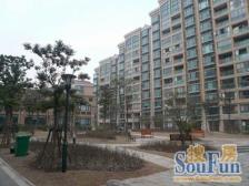 建德国际公寓 2室1厅 南 北