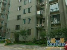 凯悦公寓 3室1厅 南