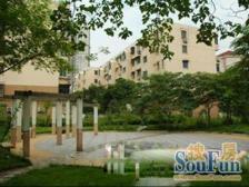 徐汇 近一号线地铁 边套全明