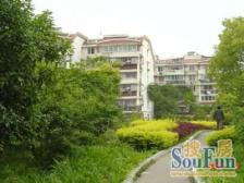 新普陀优质商品房大四房,次顶楼精装修