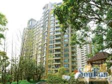 带露台,低楼层,商品房1梯2户,新普陀梅陇,诚意出售,采光好