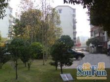 新普陀梅陇商品房两房户型好