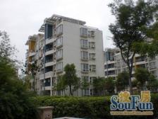 总监力推+书包大二房+凤凰楼层边套