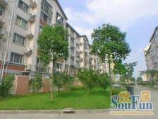 一梯四户,主卧朝南,小户型,中式风格