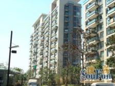 中大九里德二期 4室2厅0卫 南 精装