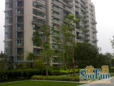 东边套大花园,精装修,保养如新 拎包入住