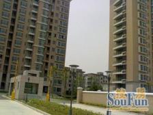 静谧不临街 推窗见绿 俯瞰ZX花园 闭眼入