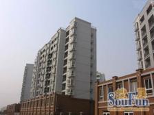 顾村·采菊苑·门口菜场 800米轨交7*15 电梯高区