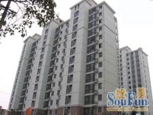 星河中间楼层边套全明户型诚意出售