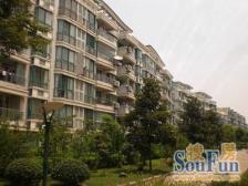 春申城华丽家园 3室2厅2卫 南