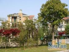 一线河景 楼层好 位置安静 强烈推荐