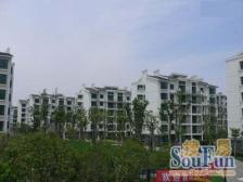 地铁900M 湖景房 五房三卫 厅挑空6米 40平露台