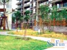 服务费比L J低! 前排采光不挡,精装修随时看