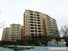 新上小复式 花园位置 直视陆家嘴三件套 复带阁楼