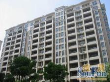 带产权车位,3.2米层高,面宽4米,双D铁800米