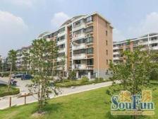 陇南菜场旁,南北通飞机户型大三房,老公房少有户型,采光刺眼!