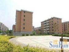 梅陇·罗锦苑·3室·2厅