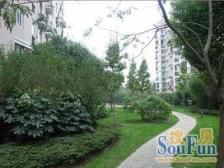 安静位置,房型正气,随时可看,采光视野很不错