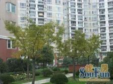 近地铁 无抵押,精装,产权清晰 新上房源