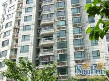 近地铁,精装 电梯房 新上房源