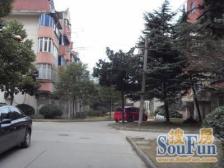 15号线 大一房 采光好 交通方便