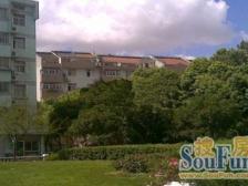 近地铁 满五 无抵押 拎包入住 新上房源