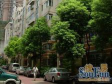 黄浦区内环内三轨交汇蓬莱公园旁