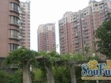 新凤城精装1房1厅中高楼层交通便利双轨交配套齐全