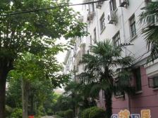 新二村 新上好房,双卫,位置安静,中间楼层,户型正采光好