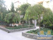 光辉小区位置安静朝南带花园教育配套好已满五