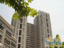 高区三房+视野开阔+诚意卖+全明户型+随时看+配套成熟