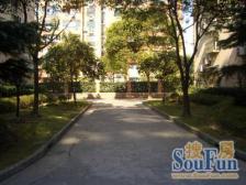 96年区干部分房,精装全明,拎包入住,30平米大花园