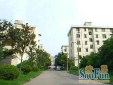 新上精装大一房 近七莘路 商配齐全