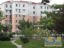 莘松绿梅好位置两房 全明户型 采光无遮挡