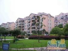 新上必买房!虹康4楼,南北通两房,上绿苑!业主诚售看中好谈