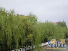 精装 采光好 现场实勘,必看好房