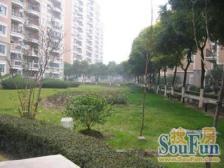 精选:5年老客户委托,莘庄站50米,小区中间位置