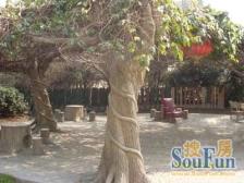 长征 · 建德花园海棠苑 · 2室 · 2厅