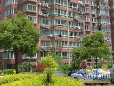 高区电梯三房,全明户型精装修。