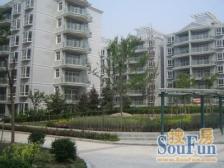 2004年一梯两户南北通三房,此价格带车位,徐汇滨江配套