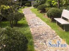 近地铁,电梯房 家具全送 无抵押,必看好房