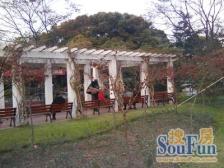 齐河花苑1室1厅南北