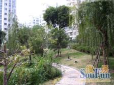 电梯九楼,高层景观房,入眼尽是景观,出门即是繁华,已空关