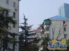 梅园三街坊2室南朝向450.00万元/套出售