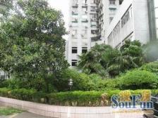 金鹏花园3室东朝向471.00万元/套出售