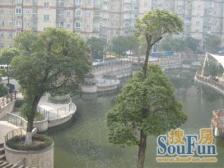 品质小区,繁华地段,刚需好房,装修齐全